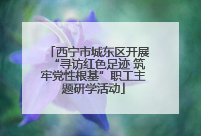 西宁市城东区开展“寻访红色足迹 筑牢党性根基”职工主题研学活动
