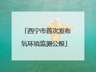 西宁市首次发布氧环境监测公报