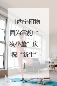 西宁植物园为雪豹“凌小蛰”庆祝“新生”