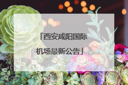 西安咸阳国际机场最新公告