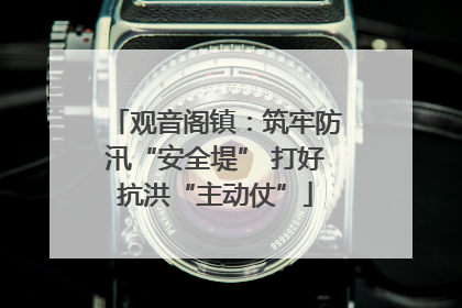 观音阁镇：筑牢防汛“安全堤” 打好抗洪“主动仗”