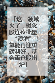 这一领域火了，概念股连夜批量“澄清”！氢能再迎重磅利好，基金重仓股出炉