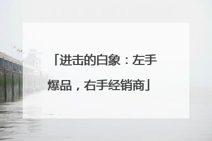 进击的白象：左手爆品，右手经销商