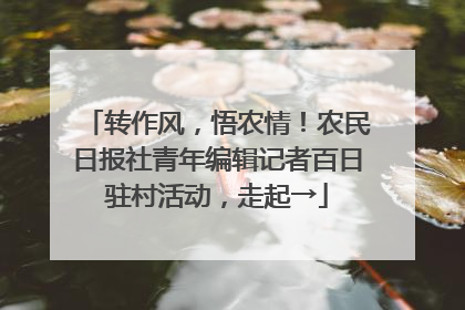 转作风，悟农情！农民日报社青年编辑记者百日驻村活动，走起→