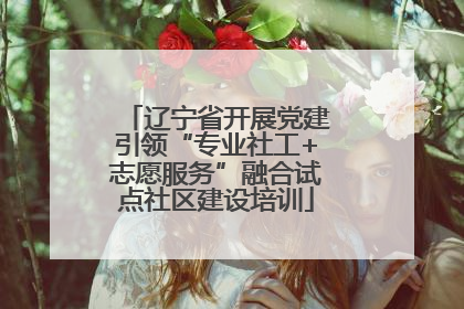 辽宁省开展党建引领“专业社工+志愿服务”融合试点社区建设培训