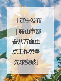 辽宁发布｜鞍山市部署八方面重点工作勇争先求突破