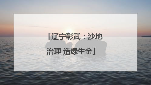 辽宁彰武：沙地治理 造绿生金