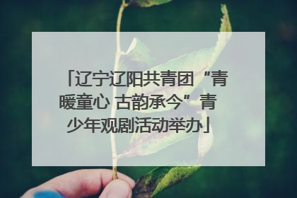 辽宁辽阳共青团“青暖童心 古韵承今”青少年观剧活动举办