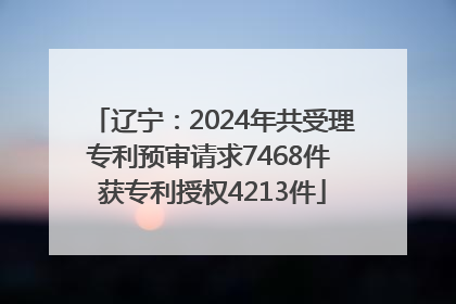 辽宁：2024年共受理专利预审请求7468件 获专利授权4213件