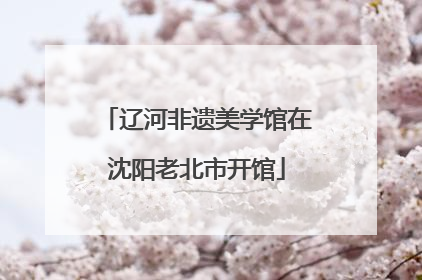辽河非遗美学馆在沈阳老北市开馆