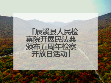 辰溪县人民检察院开展民法典颁布五周年检察开放日活动