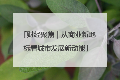 财经聚焦｜从商业新地标看城市发展新动能