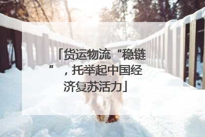 货运物流“稳链”，托举起中国经济复苏活力