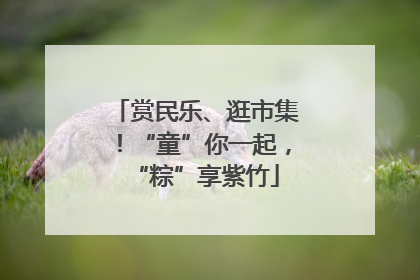 赏民乐、逛市集！“童”你一起，“粽”享紫竹