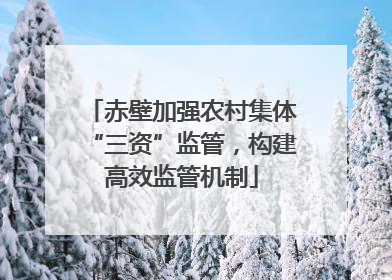 赤壁加强农村集体“三资”监管，构建高效监管机制