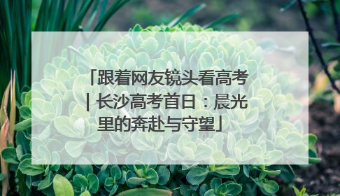 跟着网友镜头看高考｜长沙高考首日：晨光里的奔赴与守望