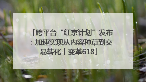 跨平台“红京计划”发布：加速实现从内容种草到交易转化丨变革618
