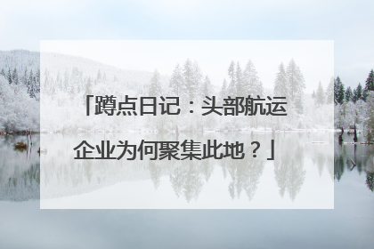 蹲点日记：头部航运企业为何聚集此地？