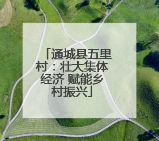 通城县五里村：壮大集体经济 赋能乡村振兴