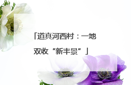 道真河西村：一地双收“新丰景”