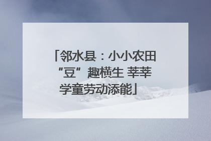 邻水县：小小农田“豆”趣横生 莘莘学童劳动添能