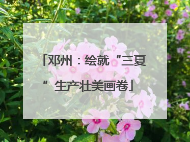 邓州：绘就“三夏”生产壮美画卷