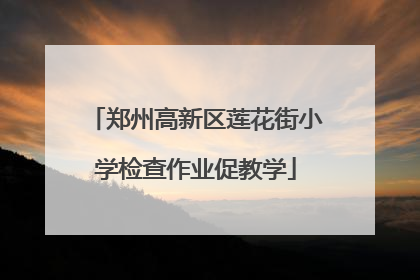郑州高新区莲花街小学检查作业促教学