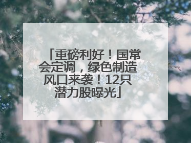 重磅利好！国常会定调，绿色制造风口来袭！12只潜力股曝光