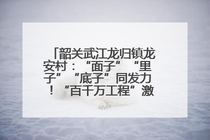 韶关武江龙归镇龙安村：“面子”“里子”“底子”同发力！“百千万工程”激活乡村新动能