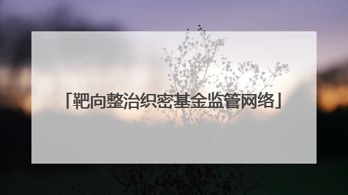 靶向整治织密基金监管网络