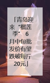 青岛迎来“榴莲季” 6月中旬批发价有望跌破每斤20元