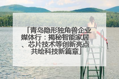 青岛隐形独角兽企业媒体行：揭秘智能家居、芯片技术等创新亮点 共绘科技新篇章