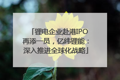 锂电企业赴港IPO再添一员，亿纬锂能：深入推进全球化战略