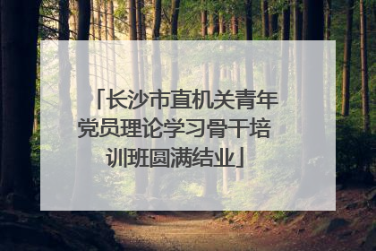 长沙市直机关青年党员理论学习骨干培训班圆满结业