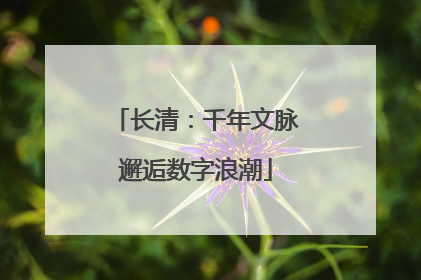 长清：千年文脉邂逅数字浪潮