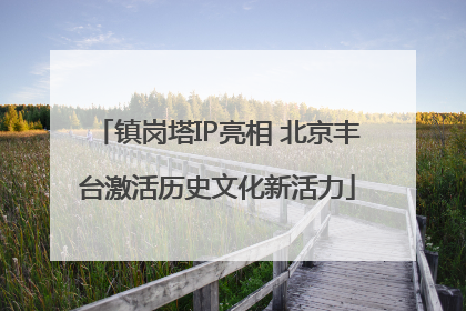 镇岗塔IP亮相 北京丰台激活历史文化新活力