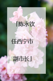 陈永钦任西宁市副市长