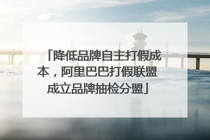 降低品牌自主打假成本，阿里巴巴打假联盟成立品牌抽检分盟