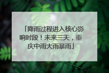 降雨过程进入核心影响时段！未来三天，重庆中雨大雨暴雨