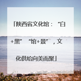 陕西省文化馆：“白+黑”“馆+景”，文化供给向美而聚