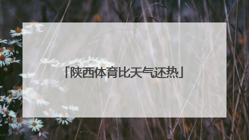 陕西体育比天气还热