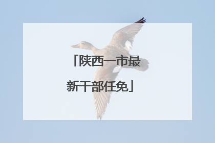 陕西一市最新干部任免