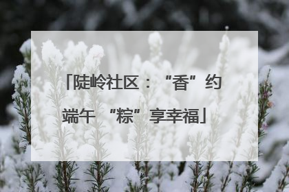 陡岭社区：“香”约端午 “粽”享幸福