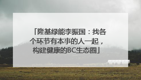 隆基绿能李振国：找各个环节有本事的人一起，构建健康的BC生态圈