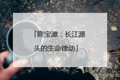 隆宝滩：长江源头的生命律动
