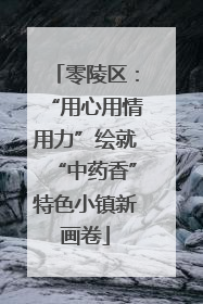 零陵区：“用心用情用力”绘就“中药香”特色小镇新画卷