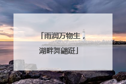 雨润万物生，湖畔舞翩跹