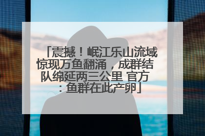 震撼！岷江乐山流域惊现万鱼翻涌，成群结队绵延两三公里 官方：鱼群在此产卵