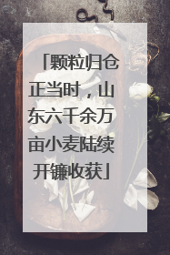 颗粒归仓正当时，山东六千余万亩小麦陆续开镰收获