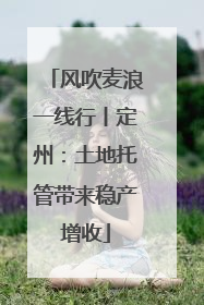 风吹麦浪一线行丨定州：土地托管带来稳产增收
